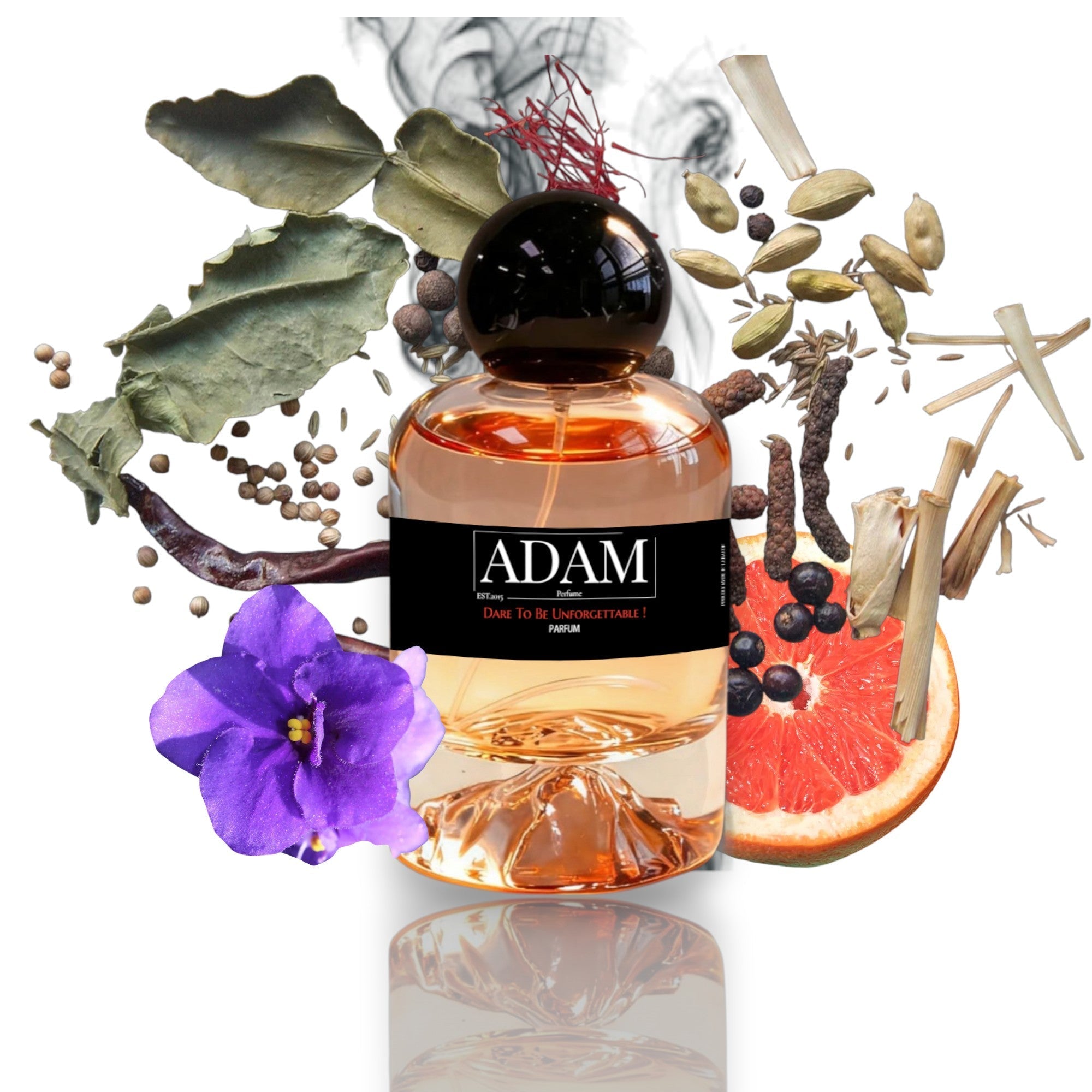 Nuit Magnétique by Adam